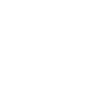 AEO Excellence icon