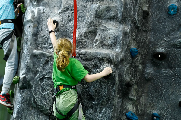 The Climbing Wall